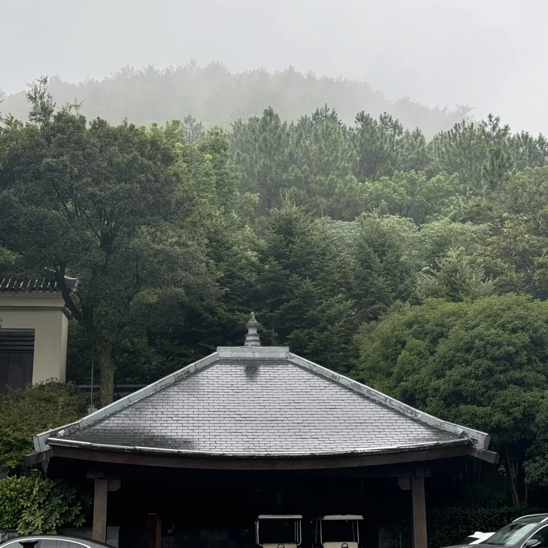她睡着我身边已经700多天了..
