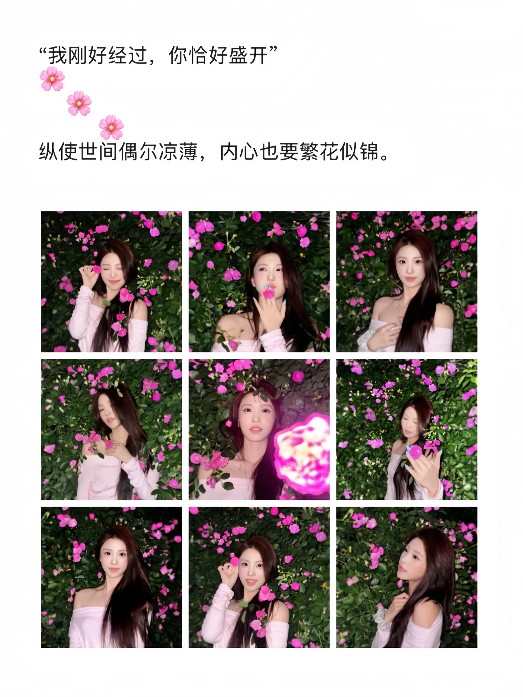 “蔷薇花开时，温柔亦烂漫”