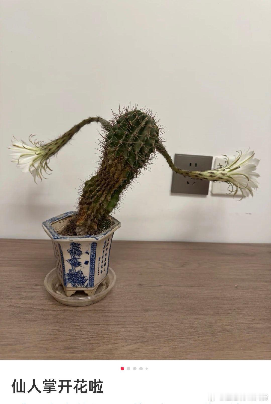 逃跑中 