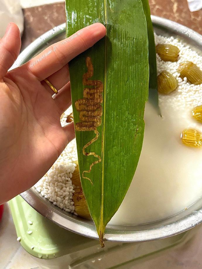 吓人 ​​​，包粽子的手都发抖了 ​​​