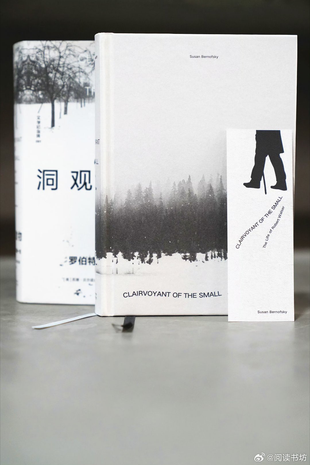 我的私人宝藏书单书评读书 于文字间沉淀你的贵气 📚《洞观微物》出版:伟大的瑞士