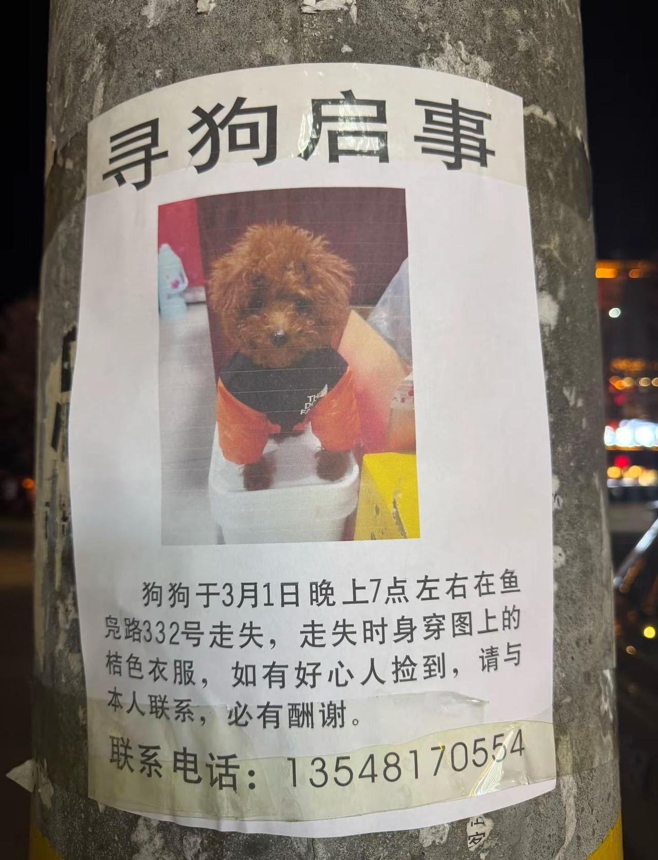 3月1日在温江去鱼凫路332号附近走丢，麻烦好心人转发哈，必有重谢，