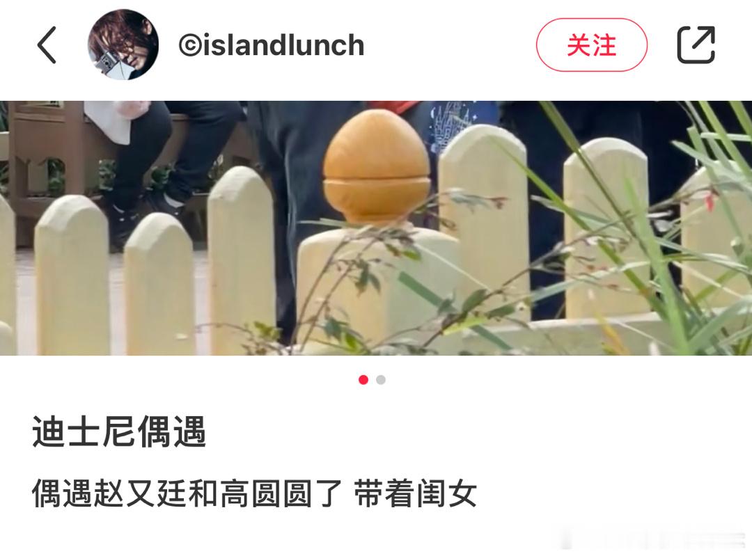 网友迪士尼偶遇赵又廷高圆圆带女儿游玩[太开心]包成这样也能认出看眼力真的好[允悲