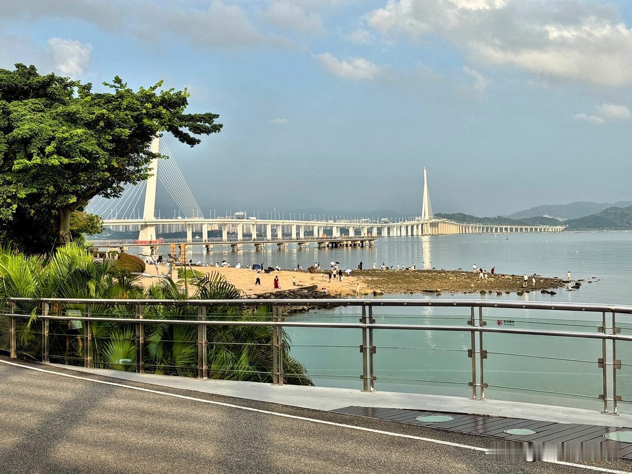 漫步海滨，那种感觉太美妙了。就像在深圳湾公园，沿着海滨长廊溜达，海风轻轻拂过脸颊