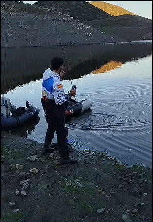 狐狸抢走了男子刚钓的鱼 ​​​