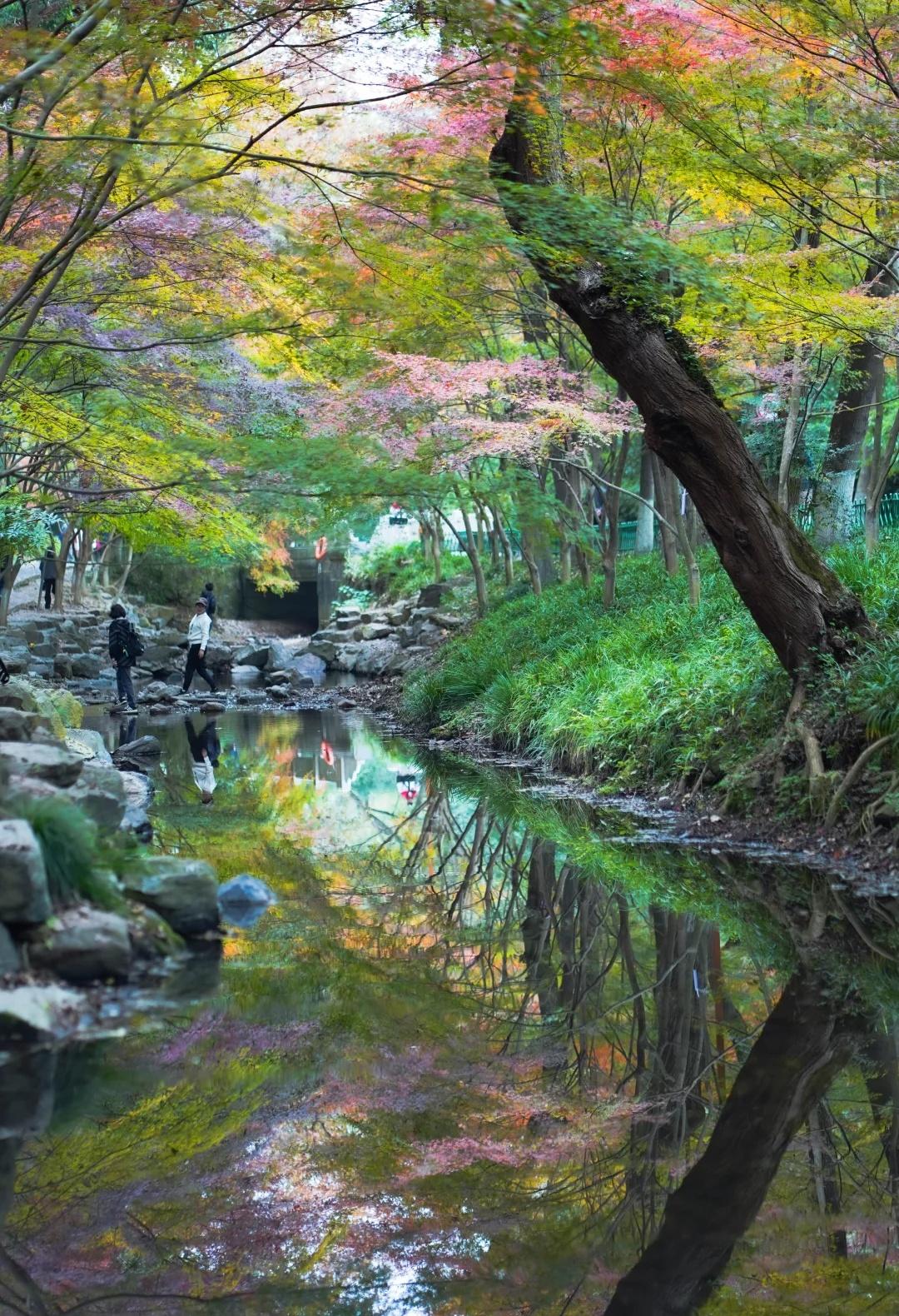九溪烟树
今日份九溪烟树九溪烟树 九溪徒步 自然拍摄倡议 上有天堂下有苏杭 九溪