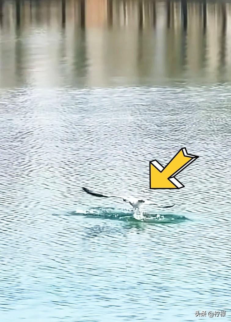 代谢最好的运动：
 
1. 快走
每次30～45分钟，降甘油三酯、改善血稠。
2