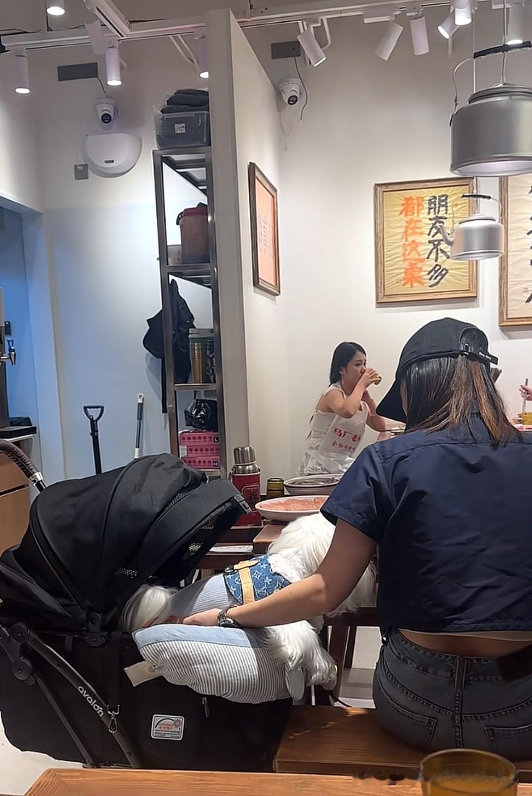 上海普陀区长寿路这家24小时营业、人均125元的马厂老火锅店内，有顾客将长毛宠物