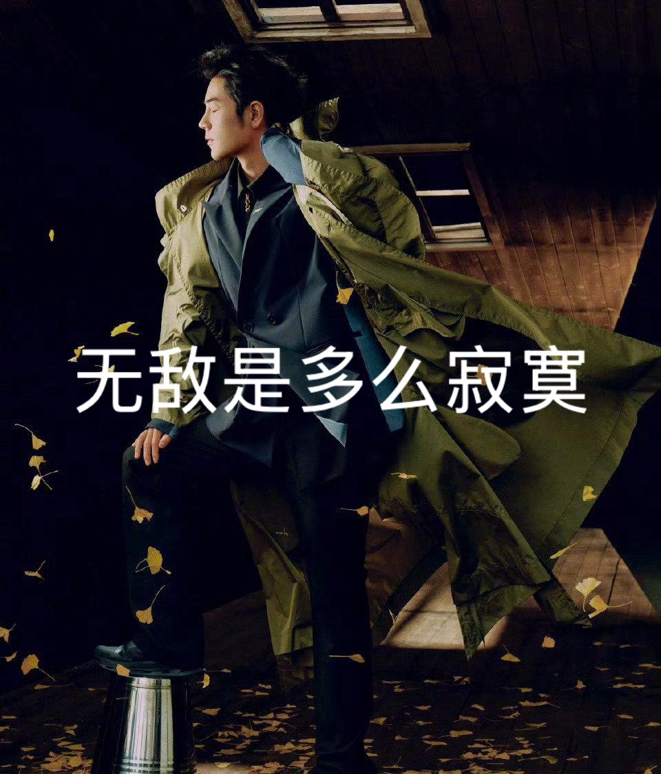 肖战又接触什么大项目了吧？