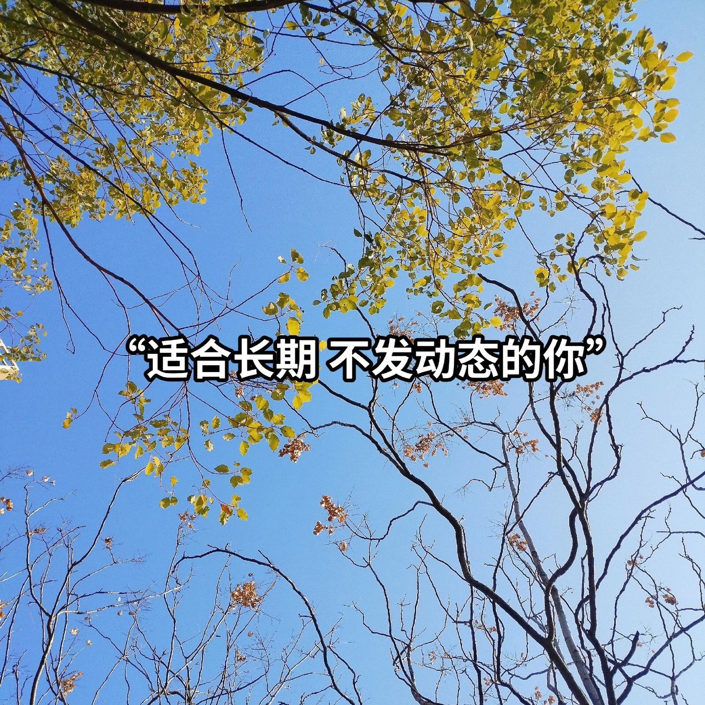 1、“日子向前，生活向暖，愿每一天都承载着健康和快乐…”——（配自拍照）2、 “