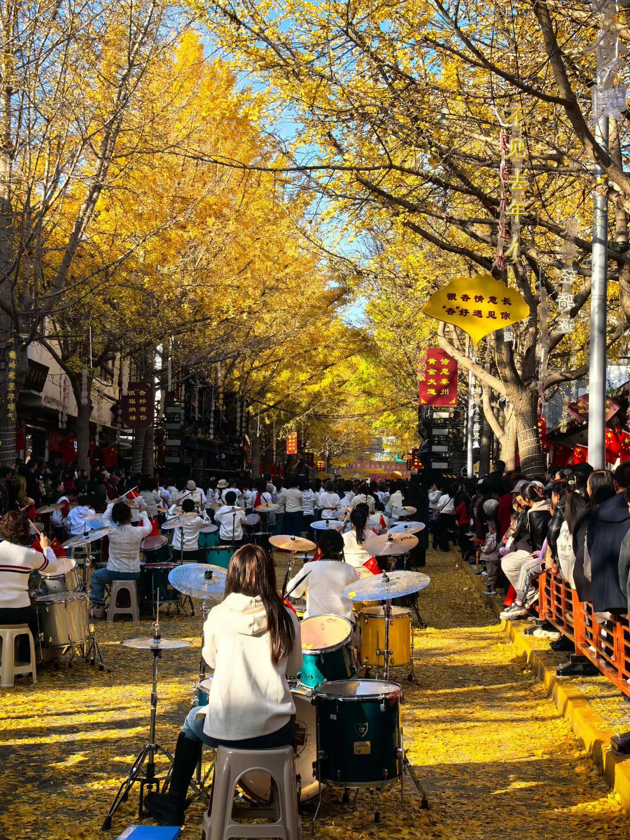 金灿灿的银杏叶落满道路，它不是在告别，而是回归大地，获得了新生！