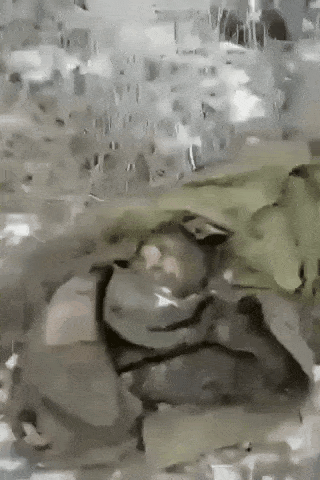 一名来自达吉斯坦的动员兵抱怨说，他被击毙的战友遗体没有被带走：“我们的人就这样躺