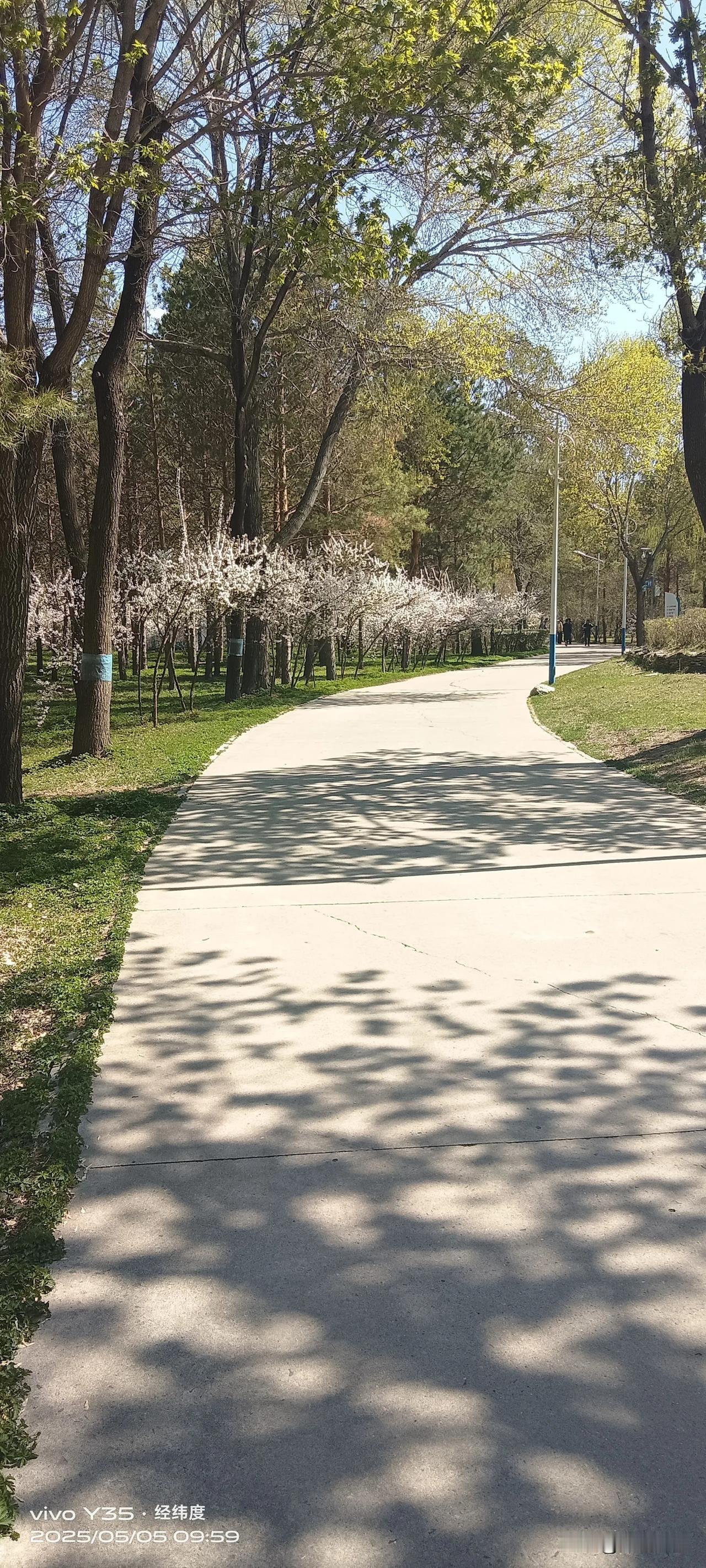 五一假期最后一天，去了我所居住城市的另一个区的广场，拍摄下了自认为最美的风景，今