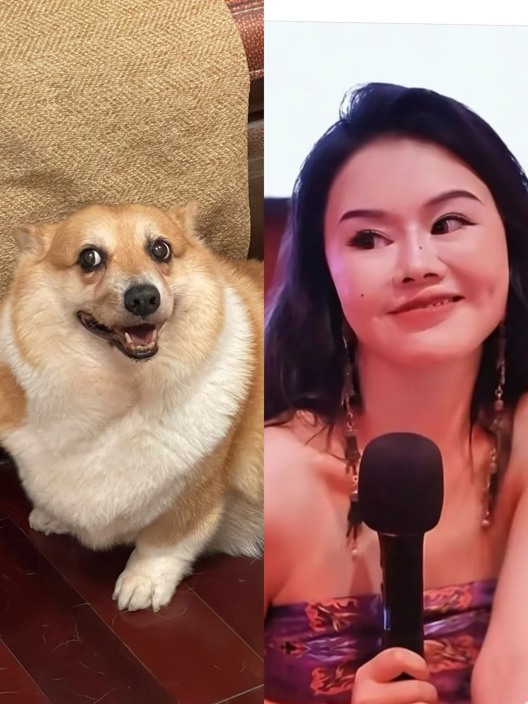 它不会偷偷上网课吧…