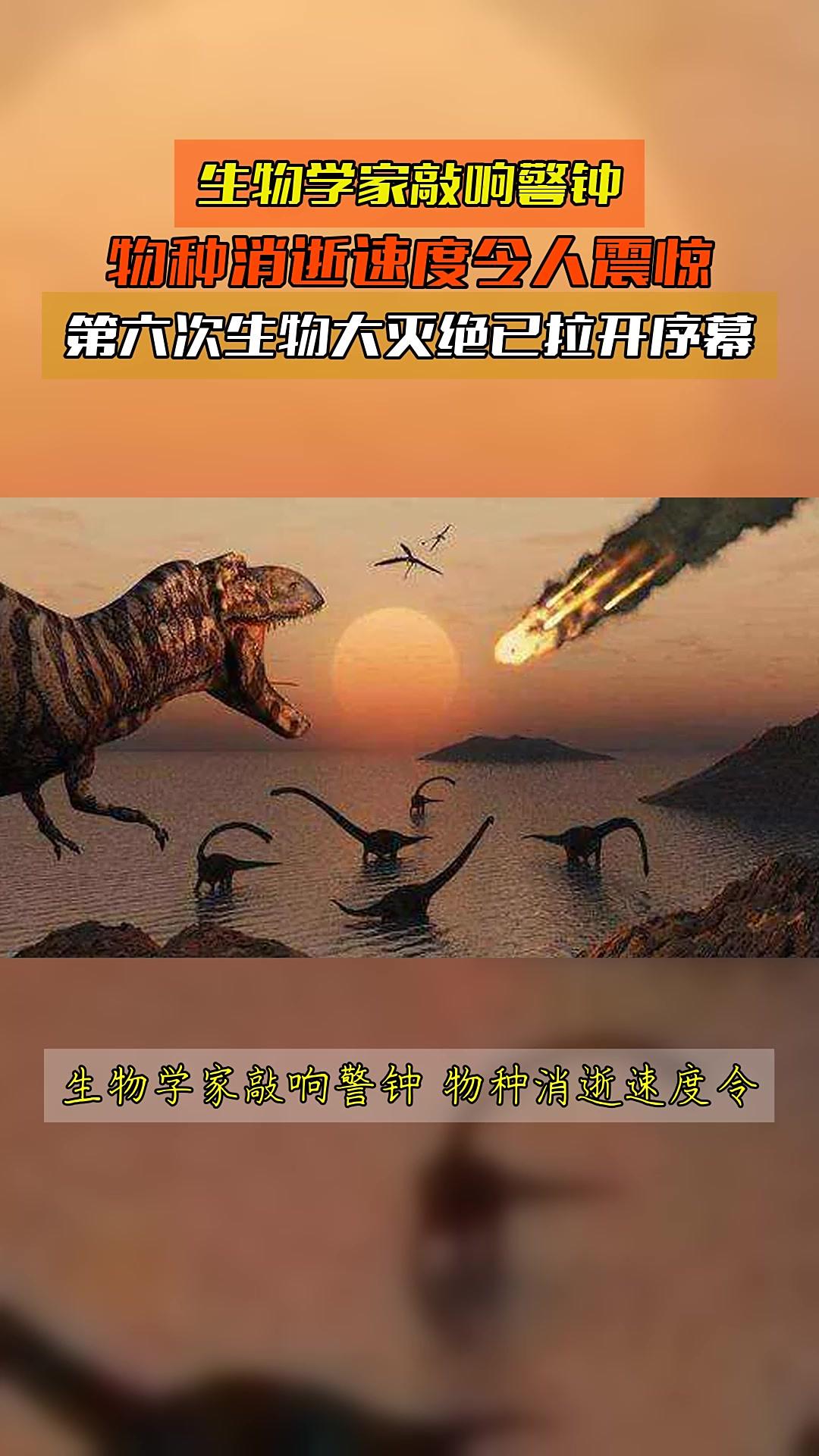 不敢想象，科学家预测的第6次物种大灭绝，[流泪]竟然就在2100年，距离我们不到