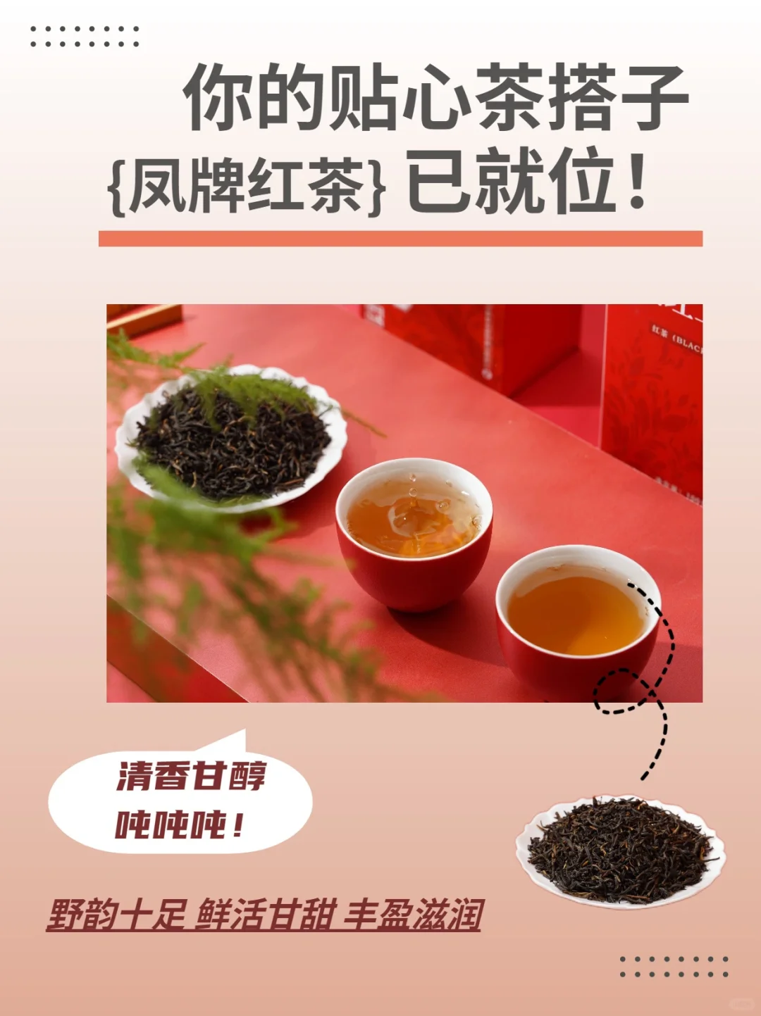 👆夏天喝茶还需一位贴心茶搭子