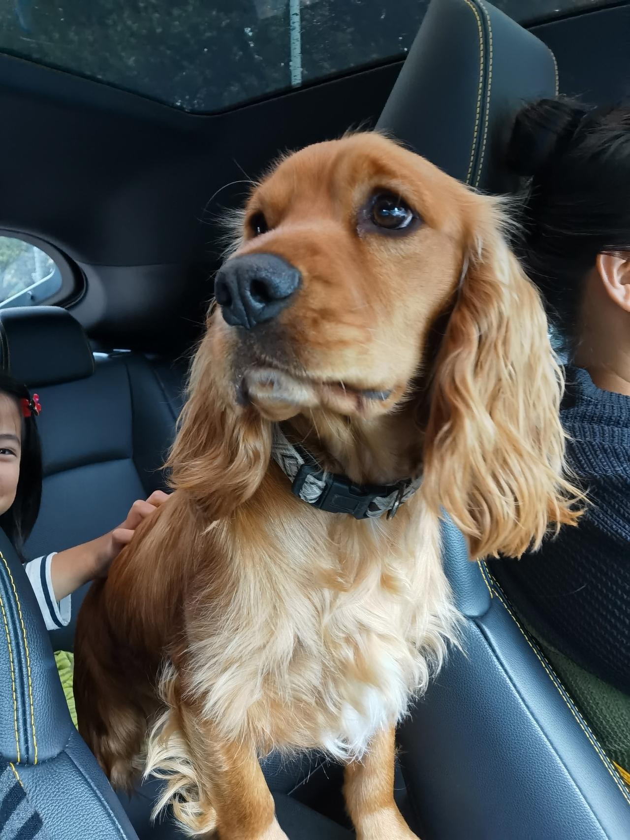 今天回国，体验了一场“去机场接力赛”🏃‍♀️

第一次这么去机场——儿媳送一段