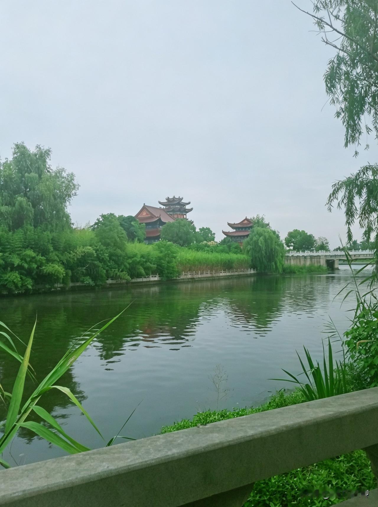 今天找中医复查，我在排队等候的过程，又脑补了几个健康知识。简单趣味好记，当时就忍