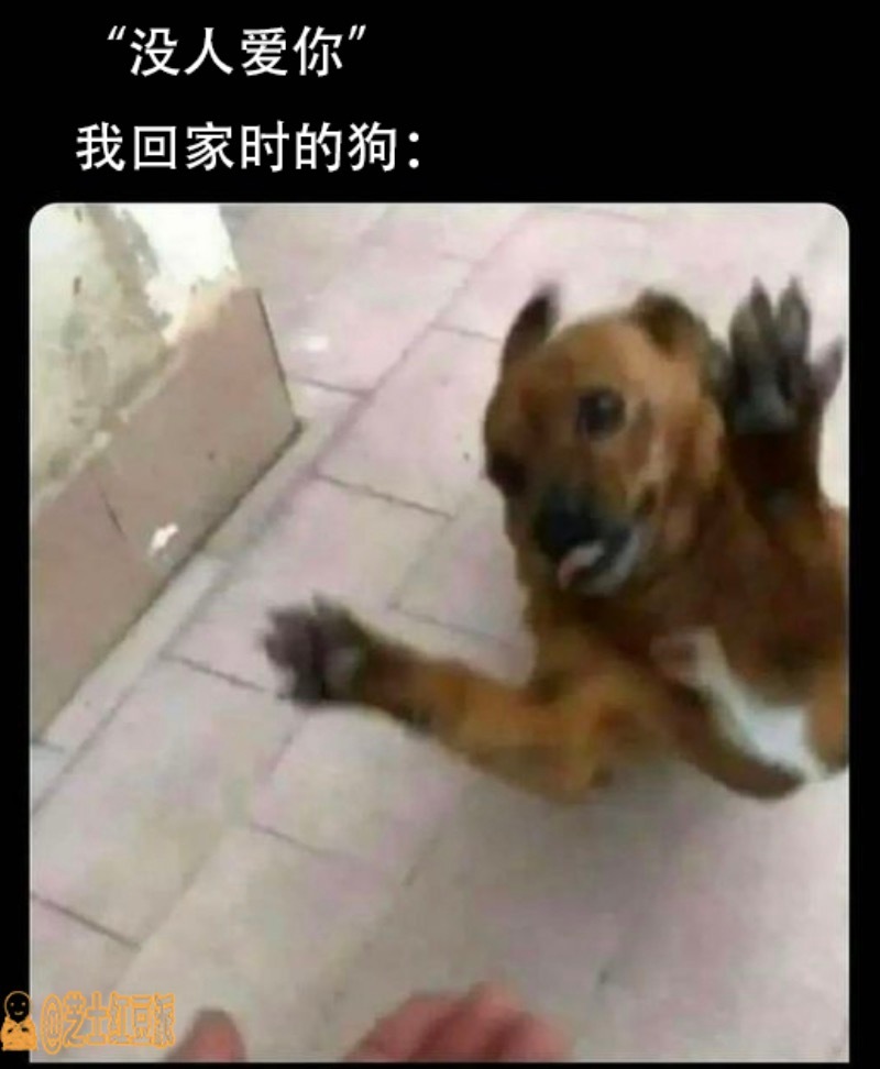 回村的我：#meme# ​​​