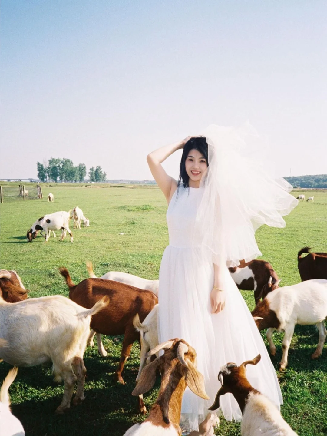 落跑新娘胶片系列分享🎞️一个人也可以美美拍婚纱呀～