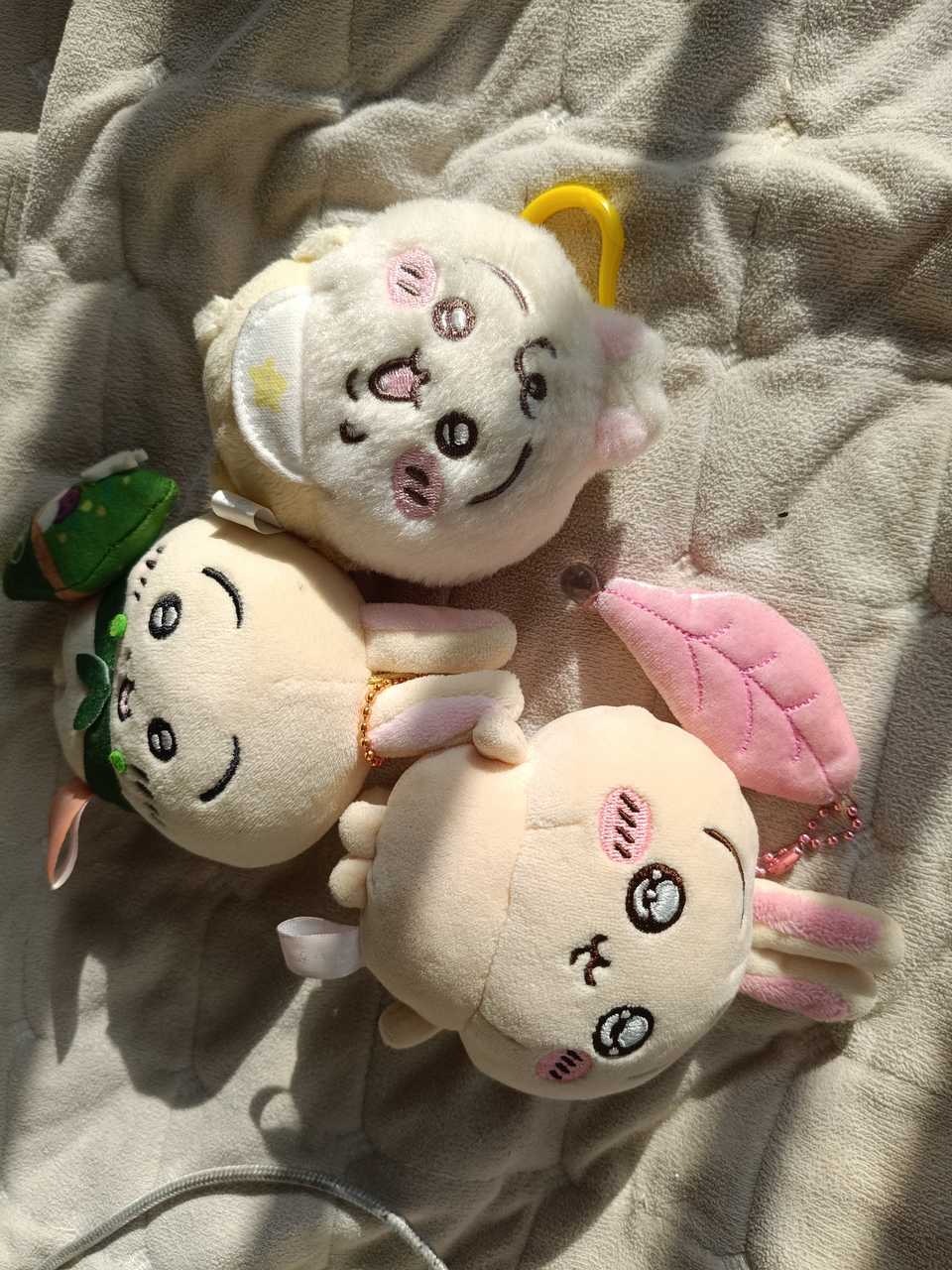 三小猪儿晒太阳中 