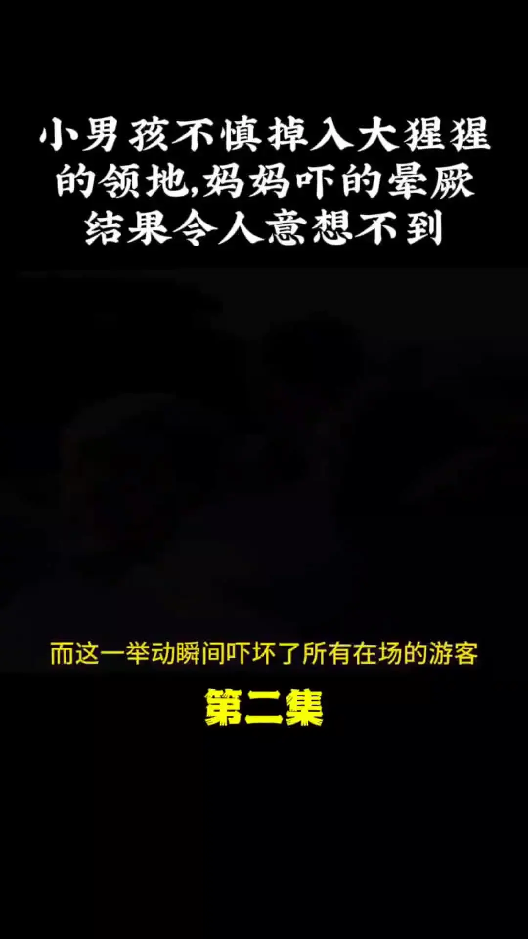 我的观影报告 神奇动物在 万物皆有灵性 野生动物零距离