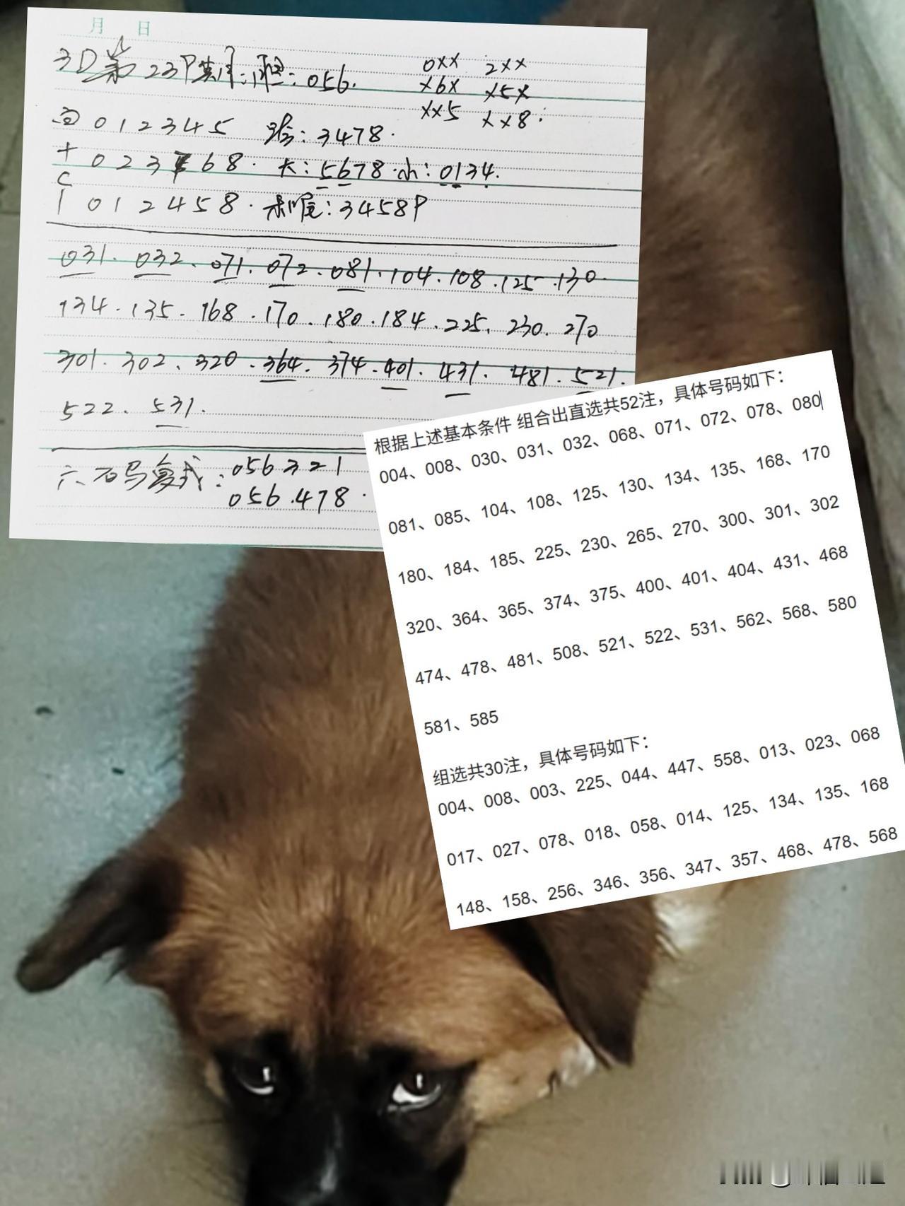 你觉得心态好能解决一切吗好心态能让人在困境中保持冷静，避免慌乱。