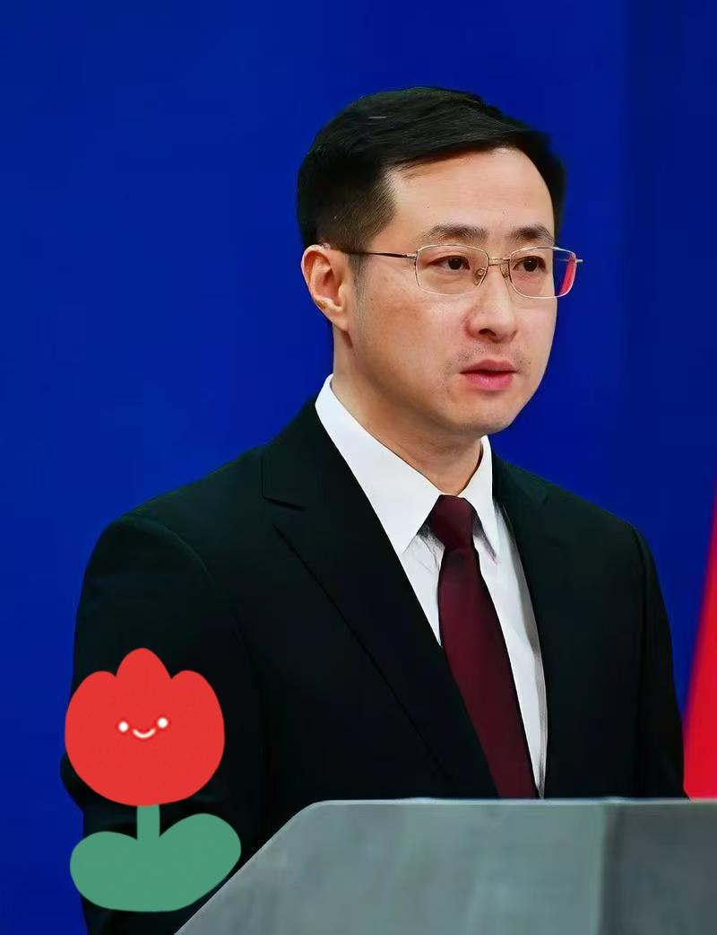 快报，快报
外交部宣布
11月11日，外交部发言人林剑在例行记者会上回应了欧盟拟