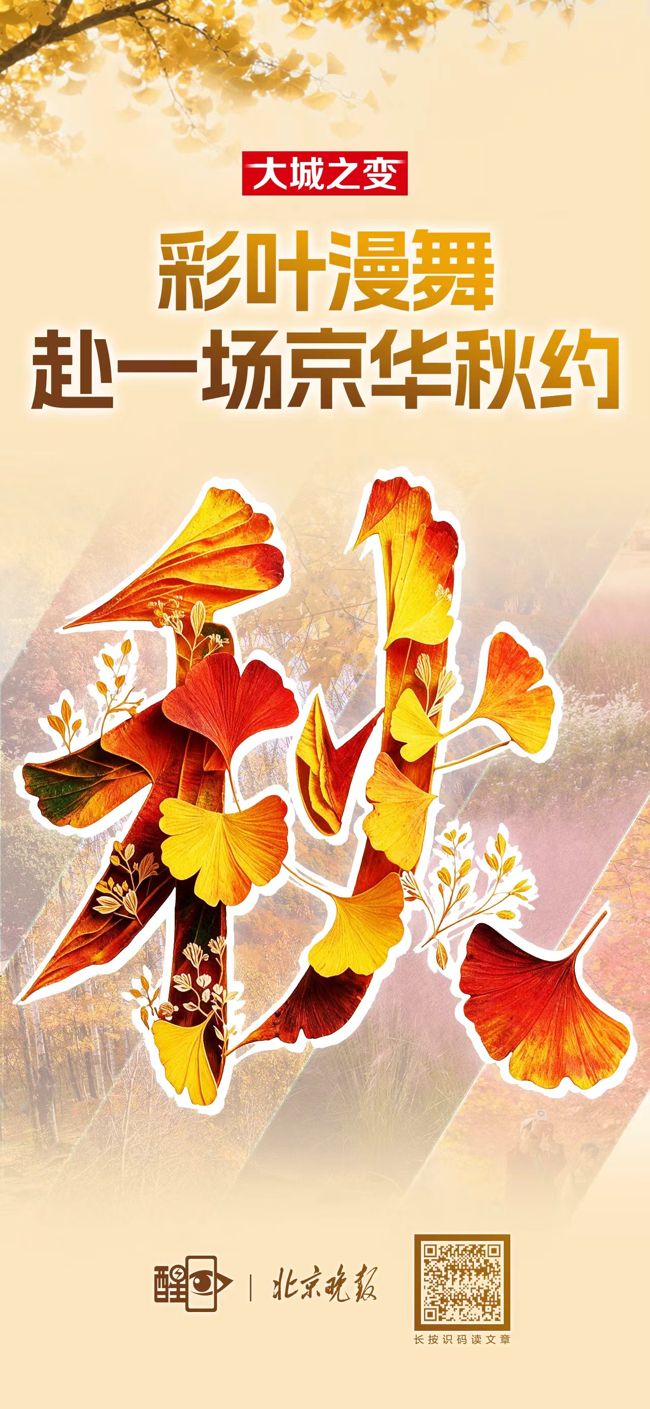 海报｜彩叶漫舞，赴一场京华秋约