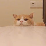 云外热谈体育