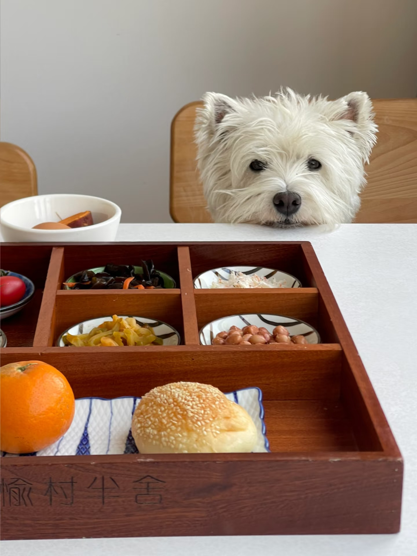 人，你好。是否有一宫格是小斗的