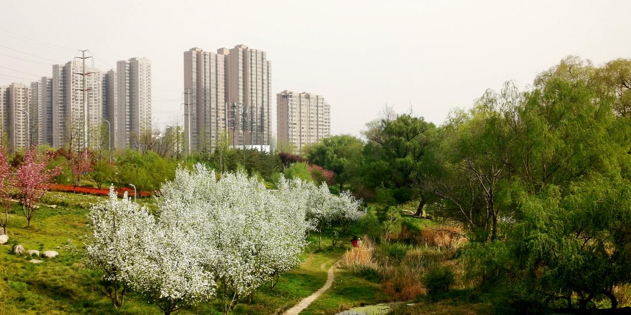 发一张图片，让我猜出你在哪里拍的能看出来这是哪里吗？提示一下，这是咸阳某个地方，