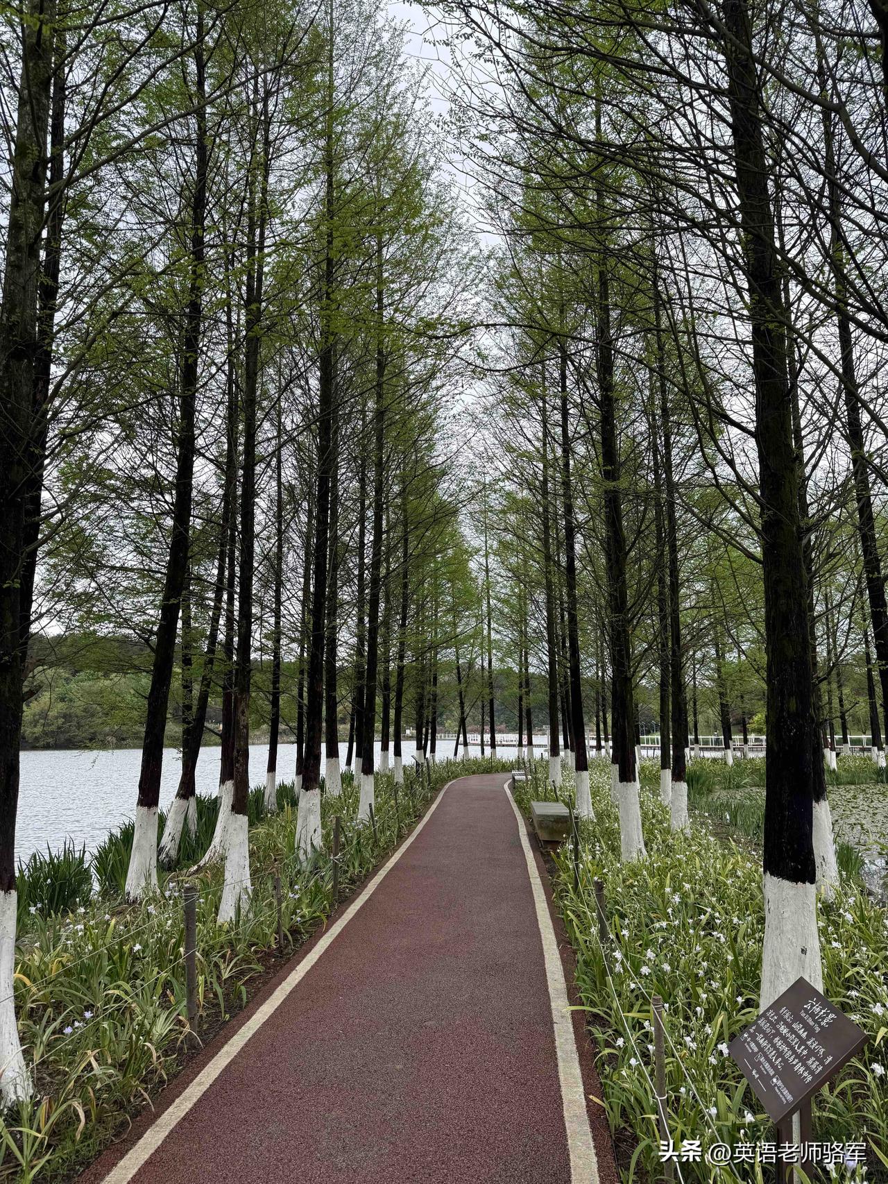 春日生活打卡季