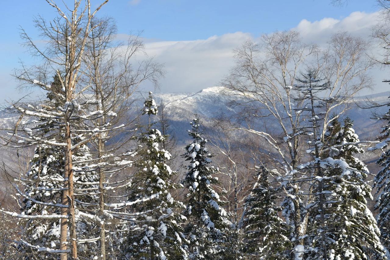 分享一张随手拍很好看的照片