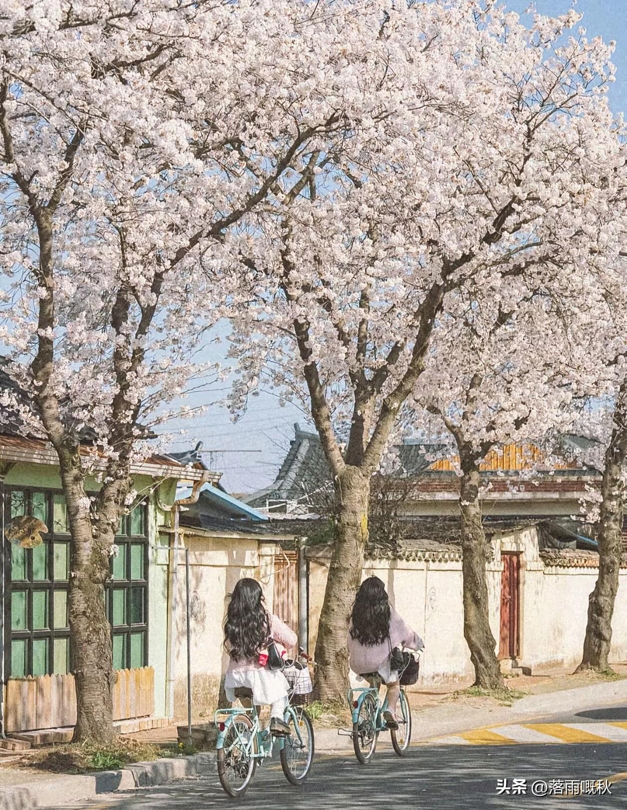 人这一生最不能丢的就是善良！
古人讲“与人为善，福虽未至，祸已远离”。

守住良