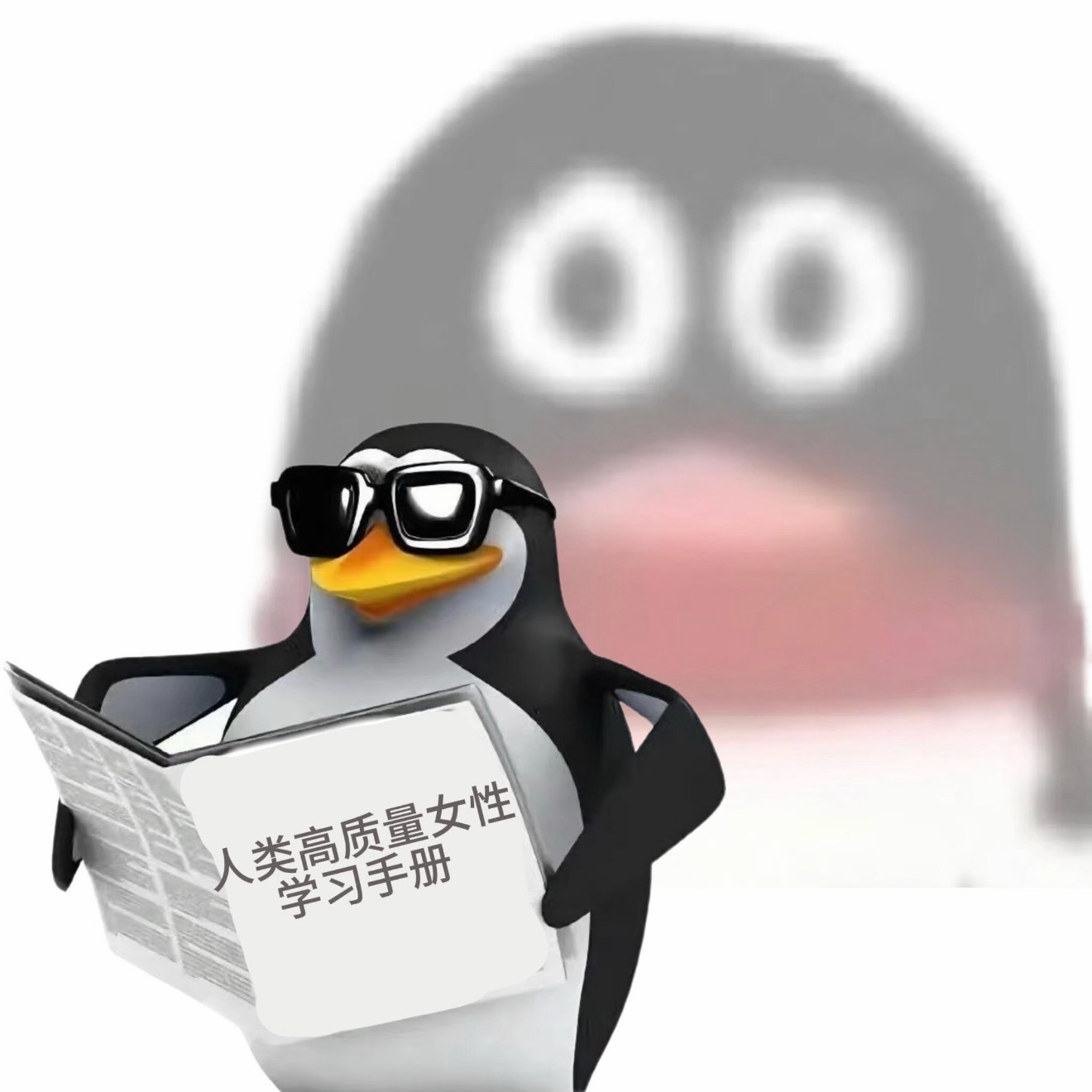 建议大家注意用脑卫生，既然有这个概念的话，那我的脑子能拿出来当脏脏包卖了只能说那