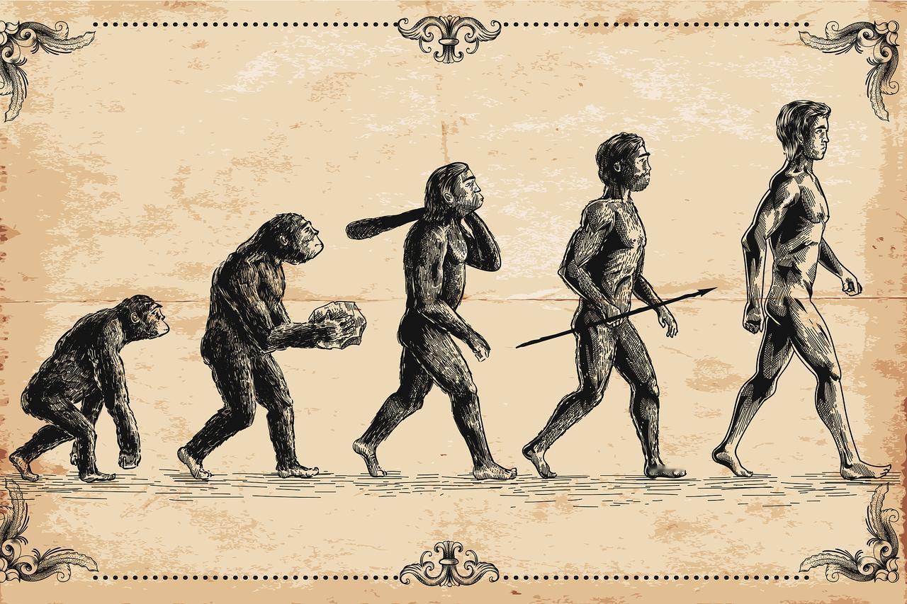 一、科学视野：一部波澜壮阔的演化史诗

科学提供的并非一个瞬间的“创造”时刻，而