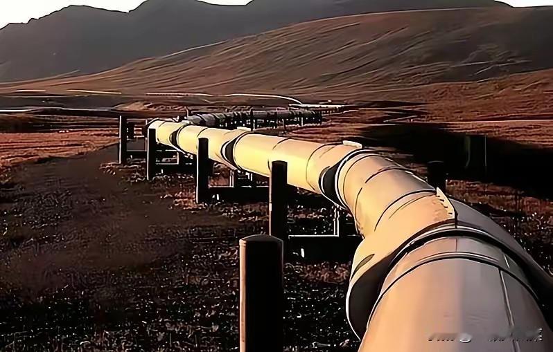 德国这下真要慌了。

有知情人士薄爆料，俄罗斯已明确通知哈萨克斯坦和德国，从今年