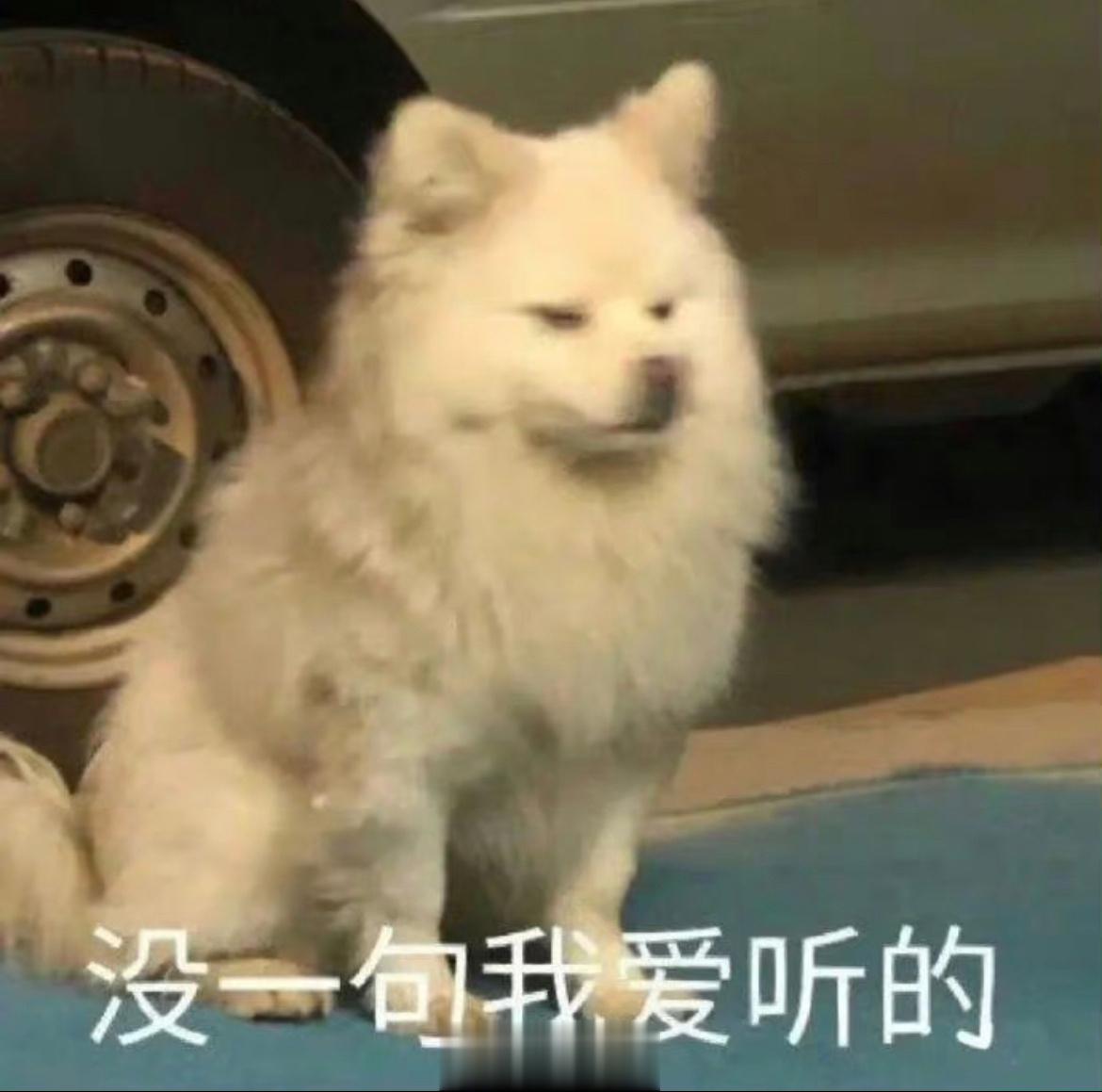 【#专家称龙年春节将形成超级黄金周#】资本的👄 替，现实会让匹诺曹的👃 的长
