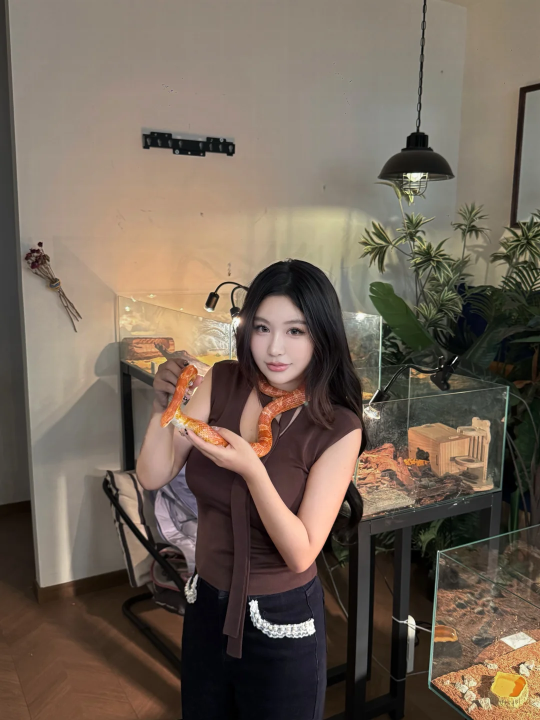 呼和浩特｜软萌猫+温顺异宠 咖啡厅