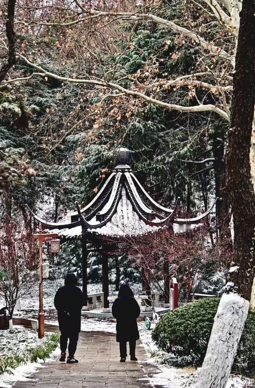 雪给亭角描了银边，树影把小径织成暗纹，两人踩着碎雪往前走，像把冬的寂静，走成了流