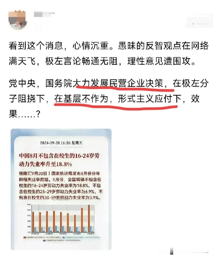极左是个筐，啥都能往里装。
现在失业率偏高，就业困难，谁都知道。但这跟”极左”有