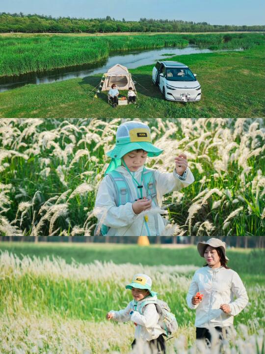 北京1h开🚗直达🆓绝美空中草原露营烧烤钓鱼