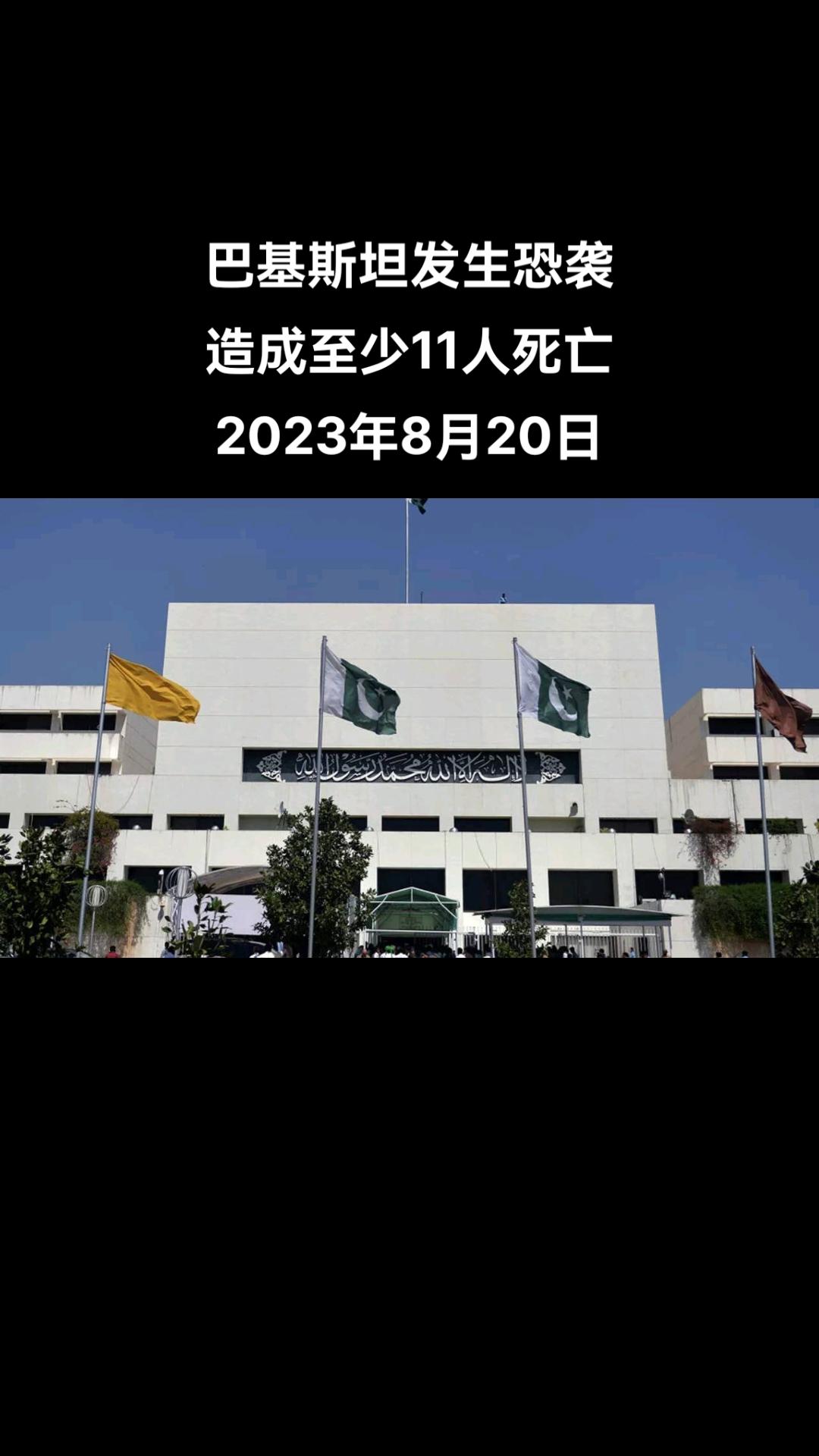 俄罗斯卫星通讯社莫斯科8月20日电 巴基斯坦看守政府总理安瓦尔•哈克•卡卡尔表示