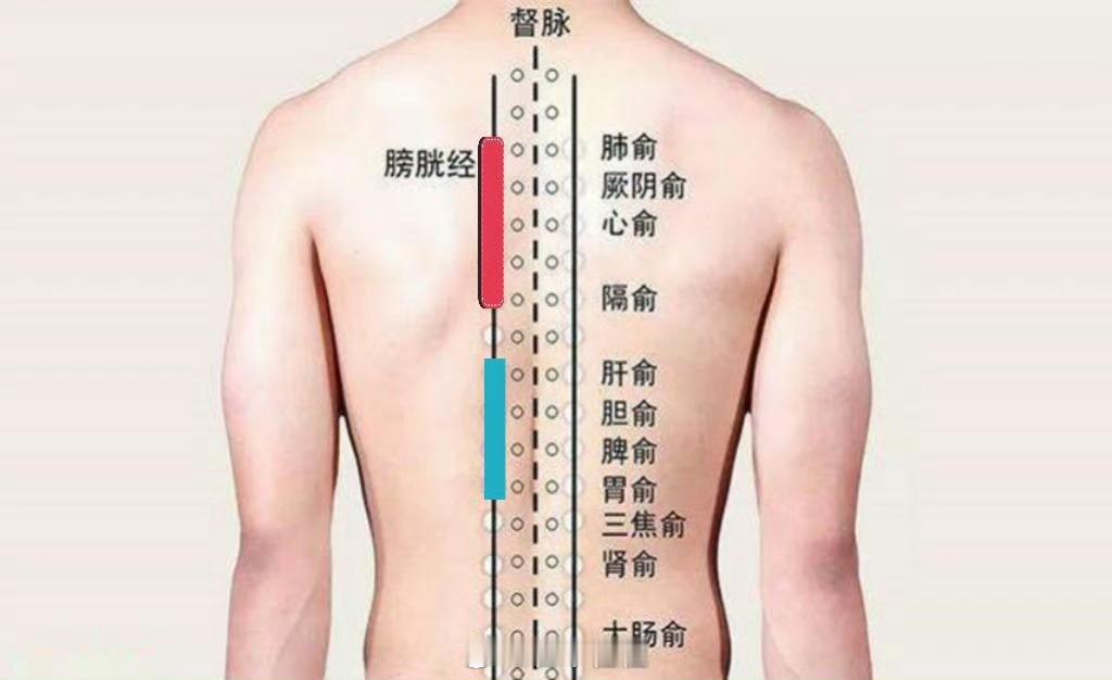 【胸痛和腹痛】平时难免会有胸腔隐痛和肚腹疼痛问题，如果经常疼痛可以用这个方法来作
