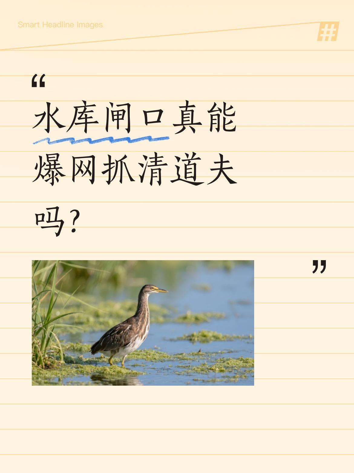 水库闸口真能爆网抓清道夫吗？
跟着当地人来到河流上游水库，听说闸口清道夫特别多。