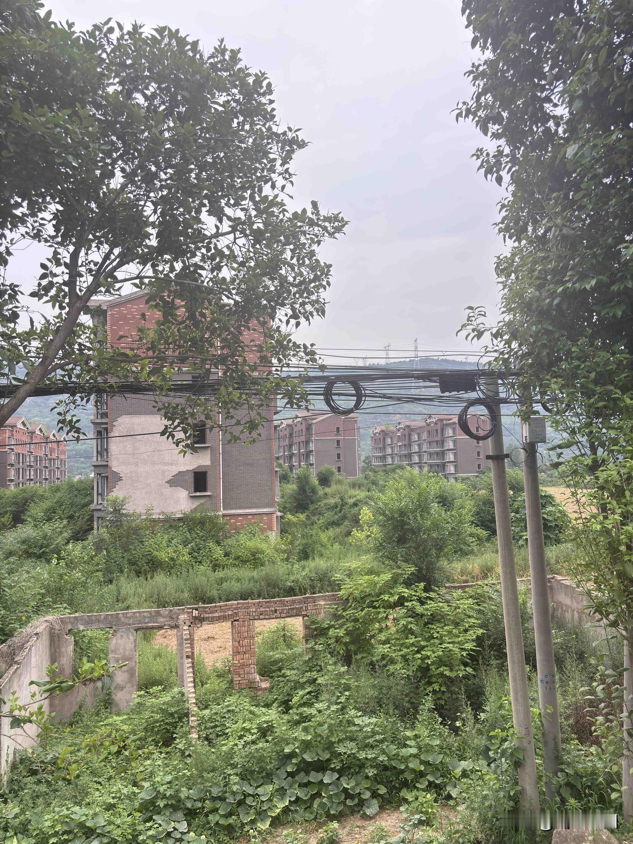 路过渭南华州区赤高路，看到路边有几栋小高层住宅楼，看着空的，没有人住，院子也长满