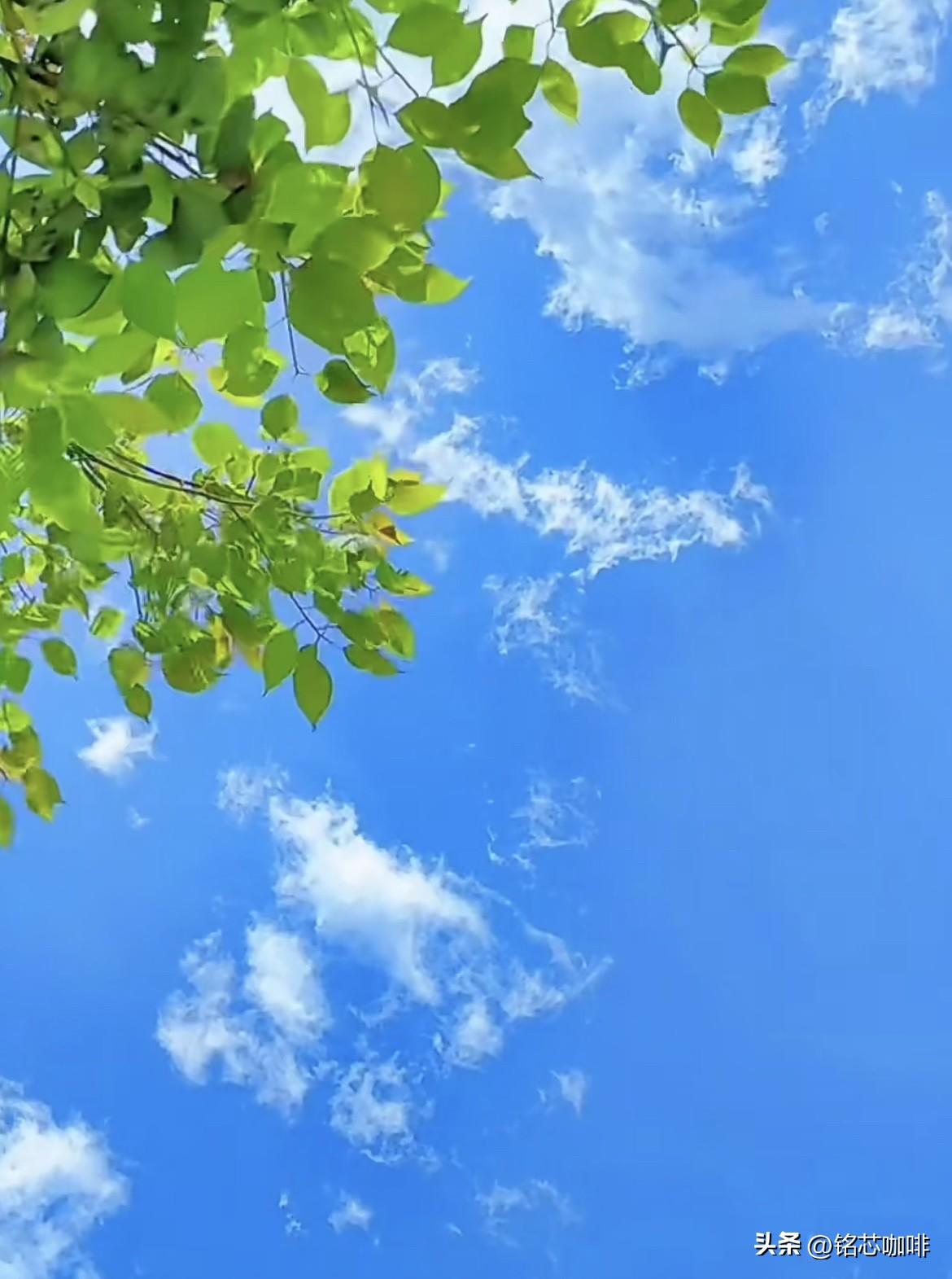 下联，请雅对
  上联：山青水净
  下联：天高云淡