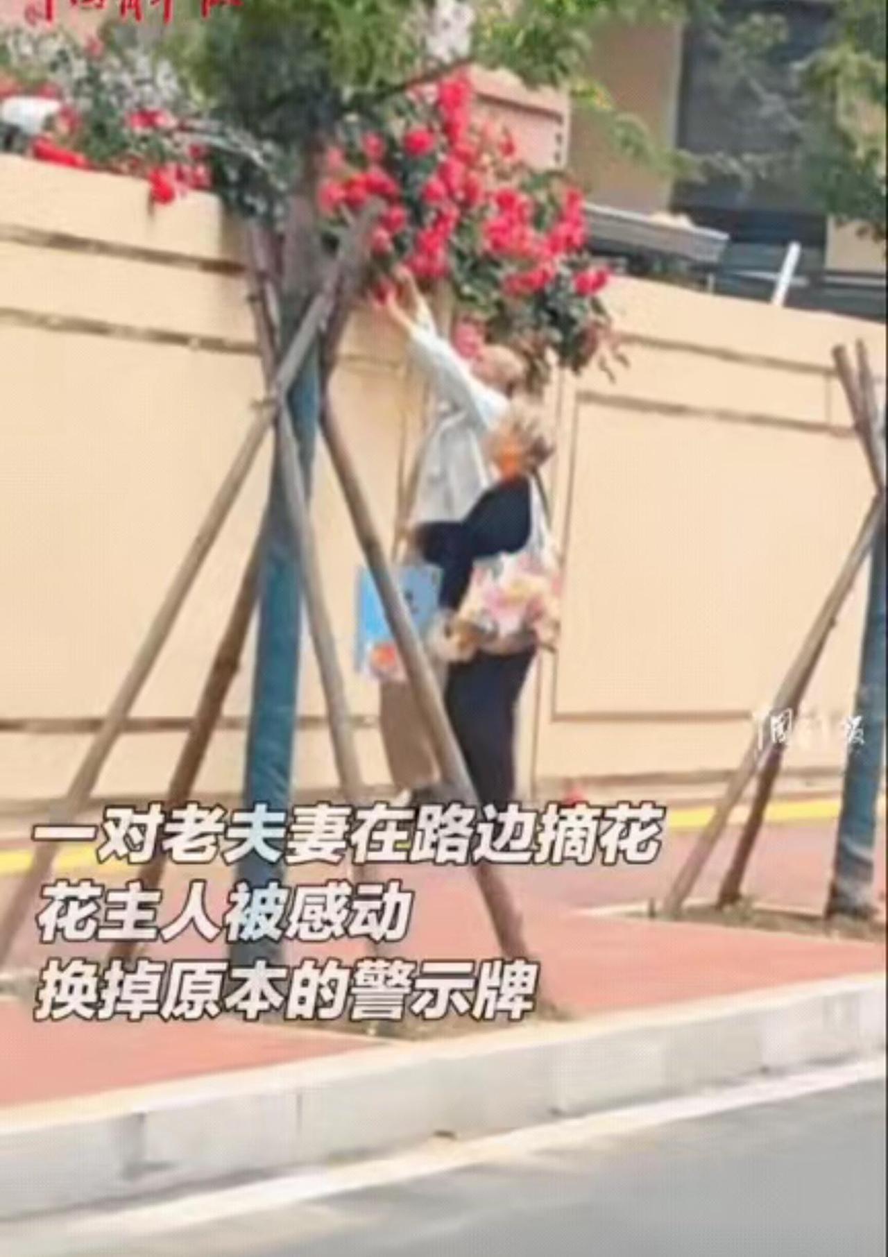 太治愈了！山东日照，女生种的花伸出了墙头，怕被人乱掐，女生便在墙边贴上了“禁止摘