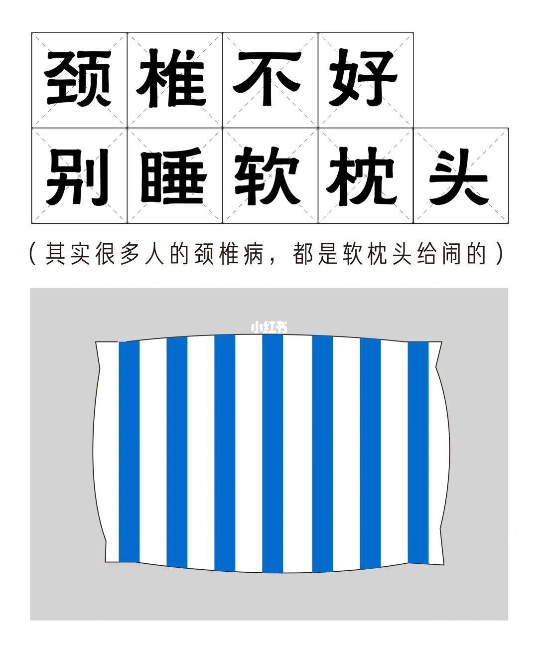 百岁老人培养计划